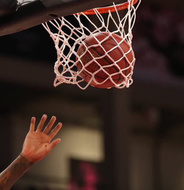 传统武术因 传统武术因